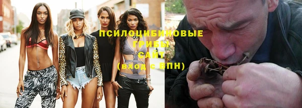 mdpv Лихославль