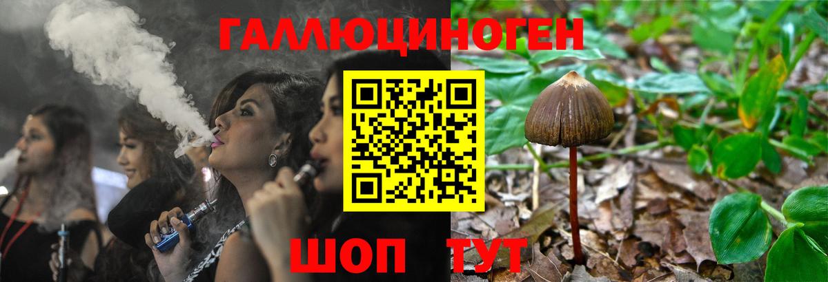 Галлюциногенные грибы Psilocybine cubensis Ангарск